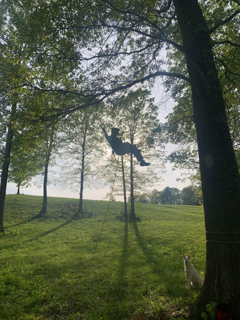 Tree care work 1